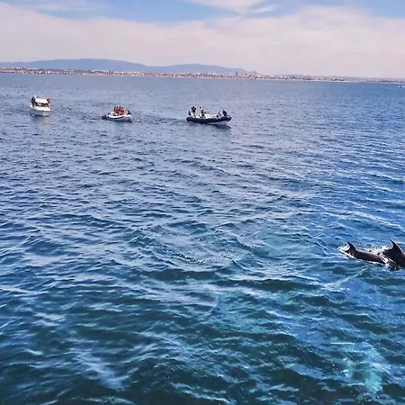 Apartamento Marbella By Algarve Vacation Albufeira